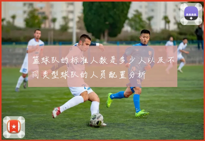 篮球队的标准人数是多少人以及不同类型球队的人员配置分析