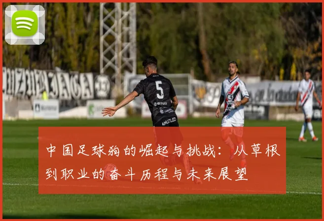 中国足球狗的崛起与挑战：从草根到职业的奋斗历程与未来展望